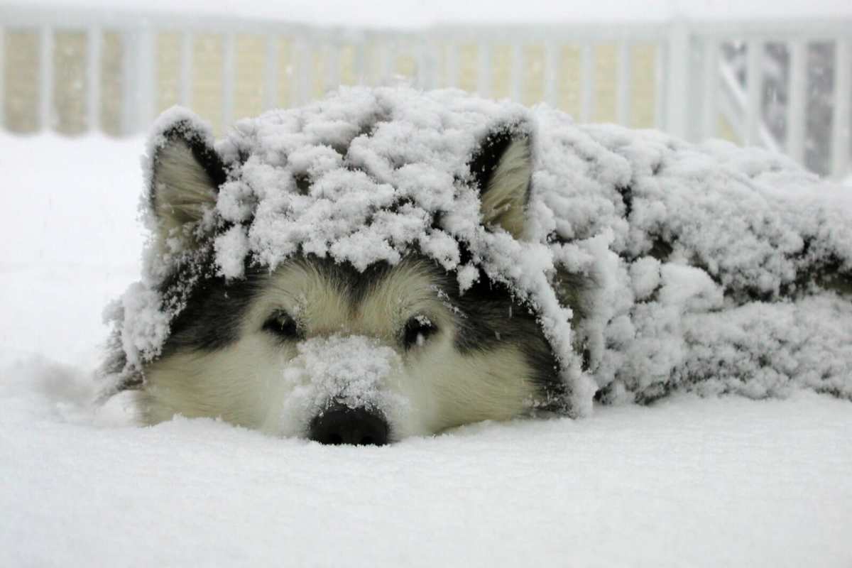 come affrontare l'inverno