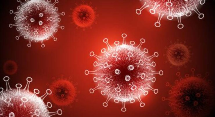 virus covid