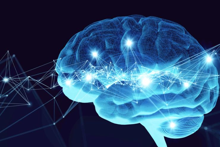 alzheimer cervello