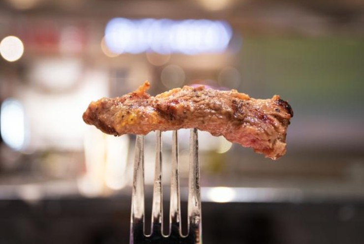 la carne fa male