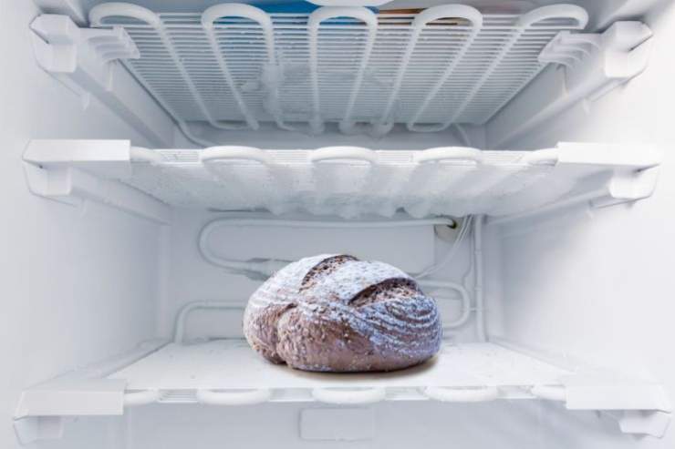 Pane congelato: non immagineresti mai le sue proprietà | Scoperta choc per il nostro organismo